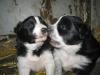 <img100*0:stuff/Image_418393.jpg>