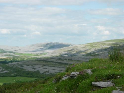 Image_610754