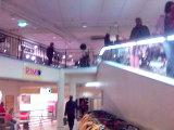 <img0*120:stuff/Image_620340.jpg>