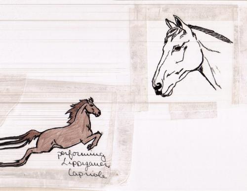 <img0*386:stuff/Image_704752.jpg>