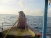 Image_716202