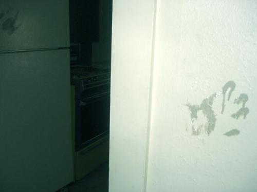 <img0*374:stuff/Image_791290.jpg>