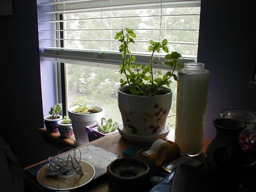 <img0*375:stuff/Image_799525.jpg>