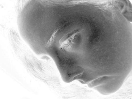 <img0*375:stuff/Image_859658.jpg>