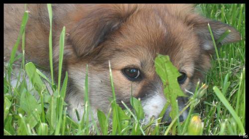 <img0*280:stuff/Image_878148.jpg>