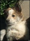 <img100*0:stuff/Image_878180.jpg>