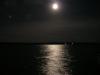 Image_899495