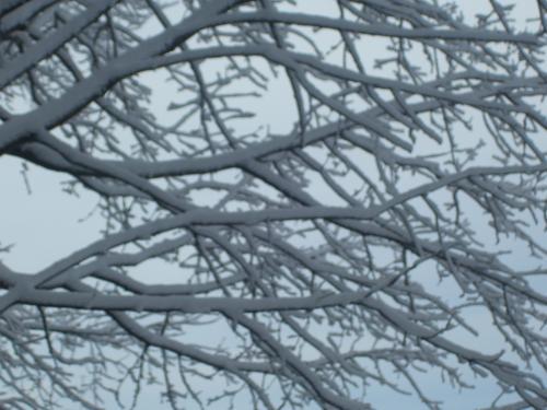 <img0*375:stuff/Image_932033.jpg>