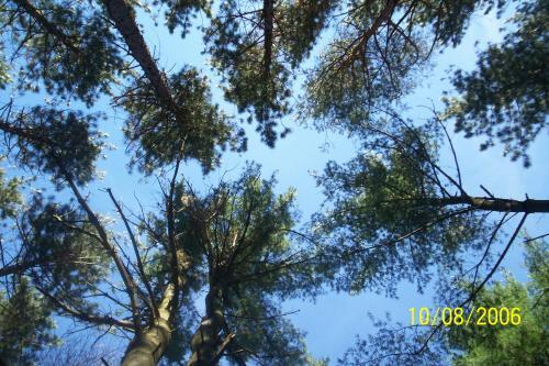 <img0*333:stuff/Image_952607.jpg>