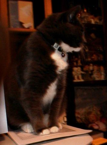 <img0*480:stuff/Image_954140.jpg>