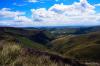 Image_977460