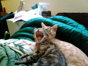 <img0*250:stuff/Isabell_and_Ian.jpg>
