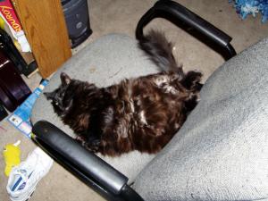 <img300*0:stuff/Itty_Bitty_.jpg>