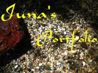 <img200*0:stuff/Iuna%27s%20portfolio.jpg>