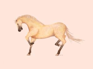 <img300*0:stuff/Ive_the_Werehorse.jpg>