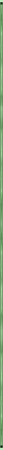 <img3*450:http://elftown.heddate.com/stuff/IvyLeagueBorderByArtsie_ladie.png>