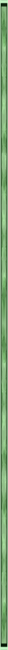 <img8*650:http://elftown.heddate.com/stuff/IvyLeagueBorderByArtsie_ladie.png>