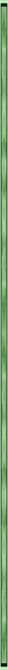 <img8*670:http://elftown.heddate.com/stuff/IvyLeagueBorderByArtsie_ladie.png>
