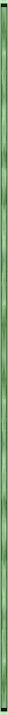 <img8*715:http://elftown.heddate.com/stuff/IvyLeagueBorderByArtsie_ladie.png>