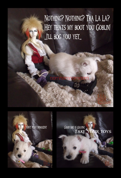<img400*0:stuff/Jareth%20%26%20Meadhbh.png>