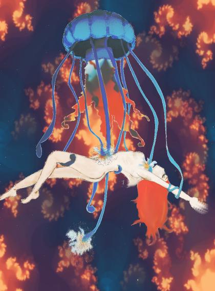 Jellyfish