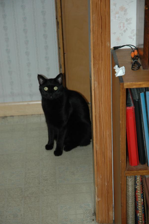 <img600*0:stuff/Jinxiebewildered.jpg>