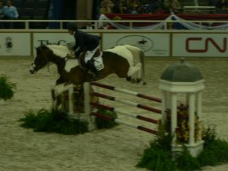 <img0*250:stuff/Jumping_Horse.jpg>