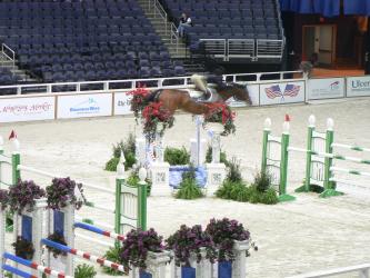 <img0*250:stuff/Jumping_at_horse_show.jpg>