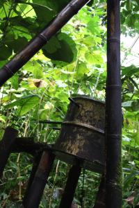 <img200*0:stuff/Jungle_Junk_I.jpg>