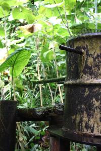 <img200*0:stuff/Jungle_Junk_II.jpg>