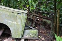 <img200*0:stuff/Jungle_Junk_IV.jpg>
