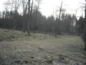 <img300*0:stuff/Just_a_random_photo_on_the_way.jpg>