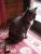 <img0*50:stuff/Kai_raku11.jpg>
