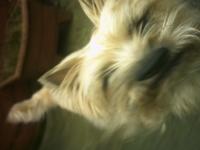 <img200*0:stuff/Kitty_Augmented_Jack.jpg>