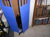 Kitty_Tardis