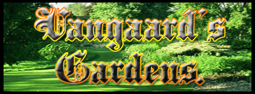 <img:stuff/KnightsOfVangaardTKGardens.jpg>