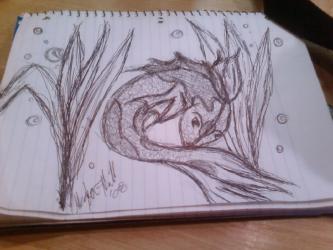 <img0*250:stuff/Koi.jpg>
