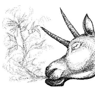 <img0*300:stuff/Kuolema234.jpg>