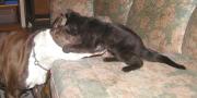 <img0*90:stuff/L%26C%20on%20couch%202a.jpg>