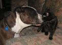 <img0*90:stuff/L%26C%20on%20couch%203a.jpg>