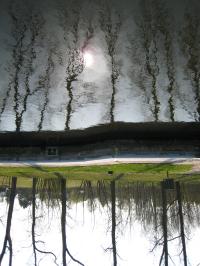<img:http://elftown.heddate.com/stuff/L%3Agrappig.JPG?x=200&y=0>