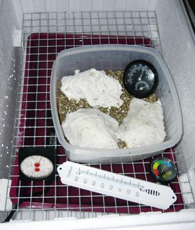 <img400*0:stuff/L1000376.jpg>