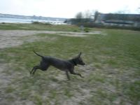 <img200*0:stuff/L1030486.jpg>