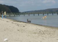 <img200*0:stuff/L1030544.jpg>