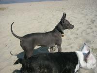 <img200*0:stuff/L1030587.jpg>