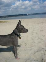 <img150*0:stuff/L1030591.jpg>