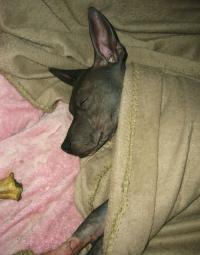 <img200*0:stuff/L1030599.jpg>