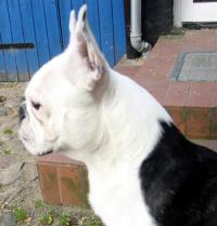 <img200*0:stuff/L1040154.jpg>