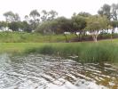 <img0*100:stuff/Lake_and_grass.jpg>