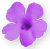 <img:stuff/LavFlwrBullet.png>